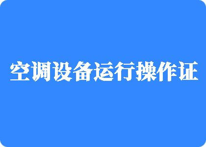 大鸡巴插逼逼视频制冷工证